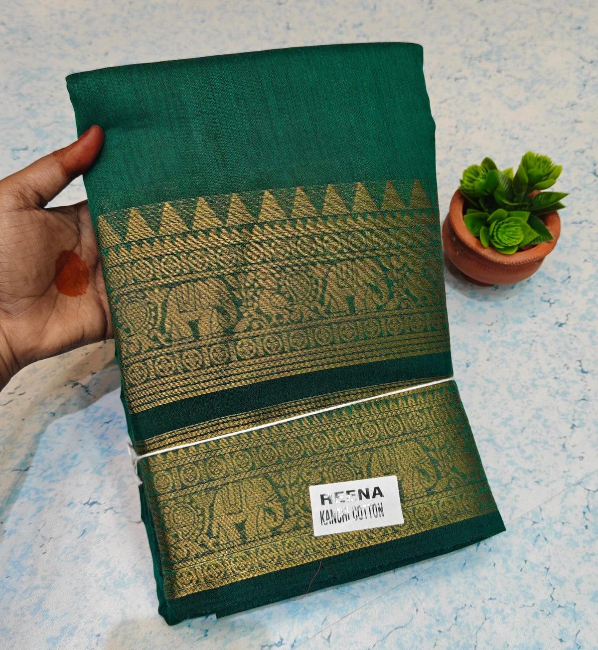 Kanchi Cotton KC03