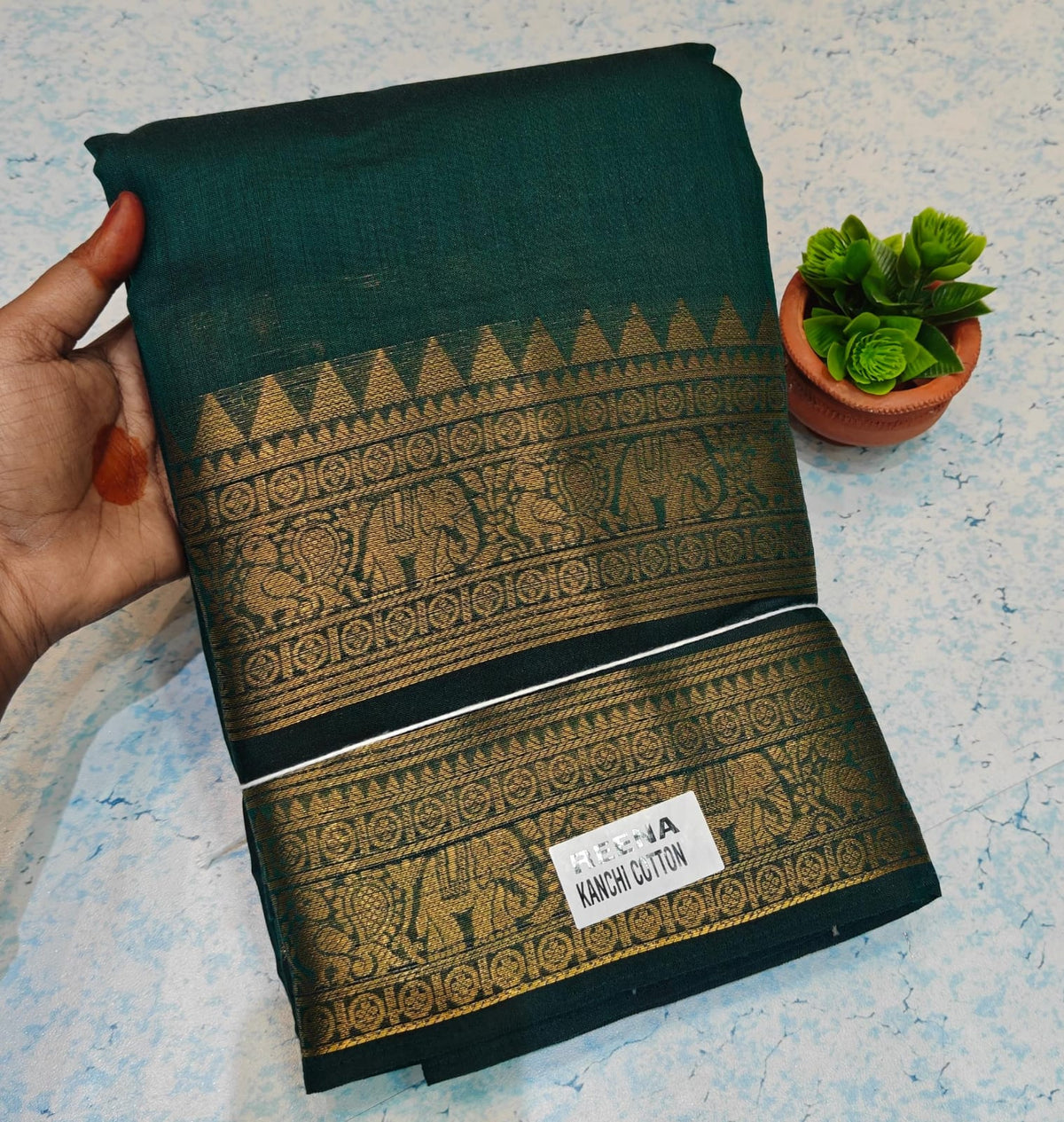 Kanchi Cotton KC02